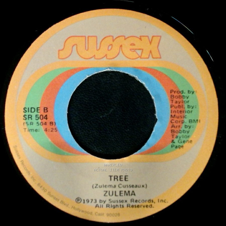 Zulema - Telling The World Good-Bye (Try To Find Yourself) / Tree side B