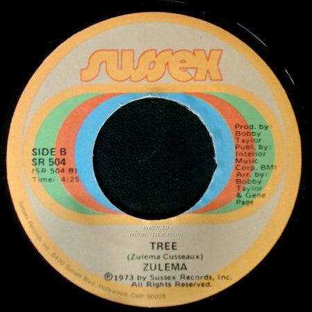 Zulema - Telling The World Good-Bye (Try To Find Yourself) / Tree side B