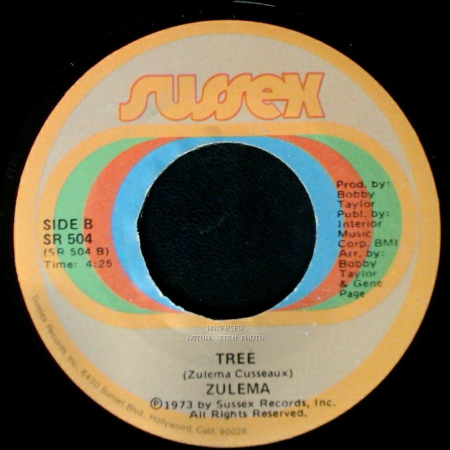 Zulema - Telling The World Good-Bye (Try To Find Yourself) / Tree side B