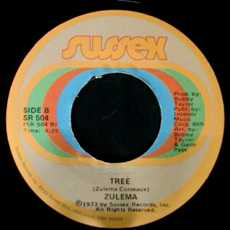 Zulema - Telling The World Good-Bye (Try To Find Yourself) / Tree side B