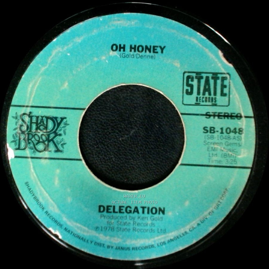 Delegation - Oh Honey / Let Me Take You To The Sun side A