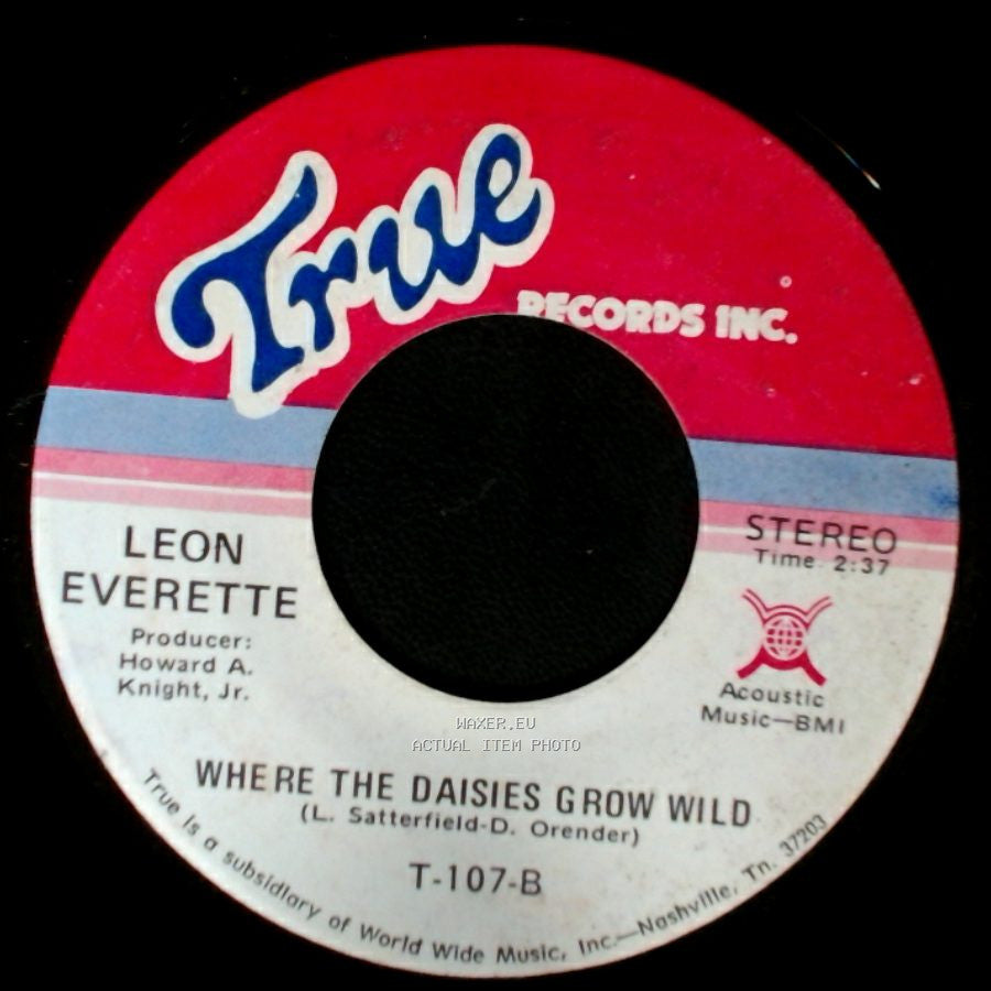 Leon Everette - Goodbye King Of Rock 'n' Roll / Where The Daisies Grow Wild side B