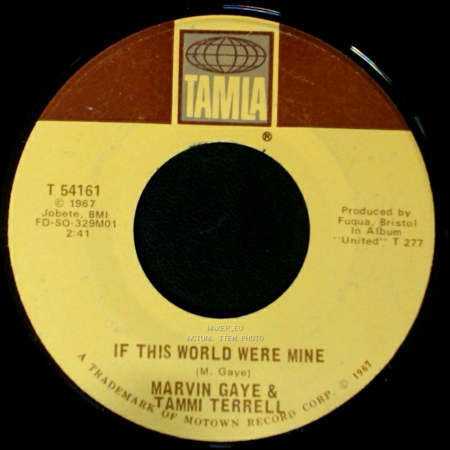 Marvin Gaye & Tammi Terrell - If This World Were Mine / If I Could Build My Whole World Around You side A