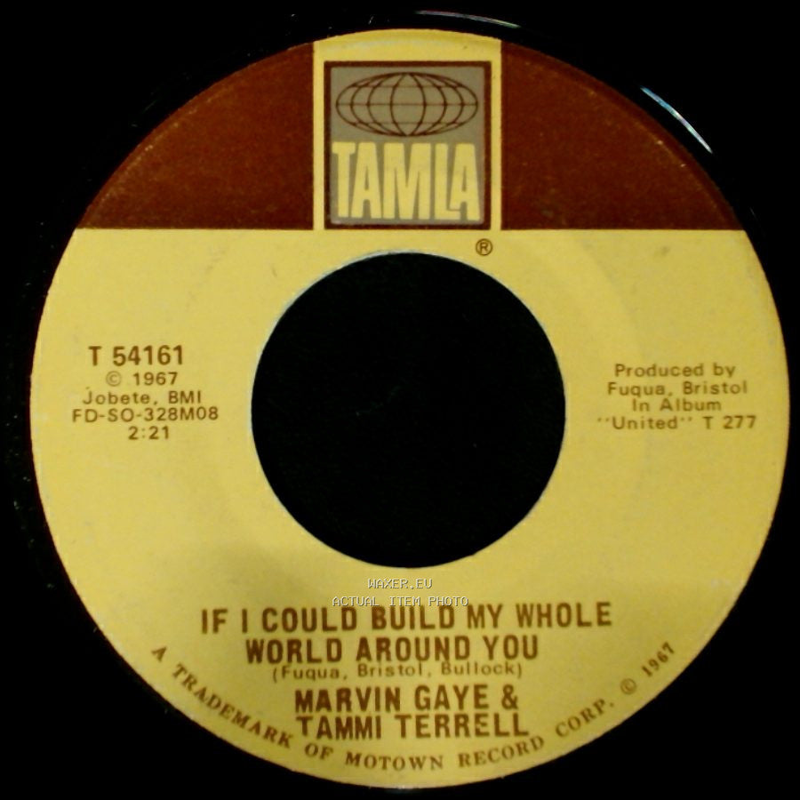 Marvin Gaye & Tammi Terrell - If This World Were Mine / If I Could Build My Whole World Around You side B