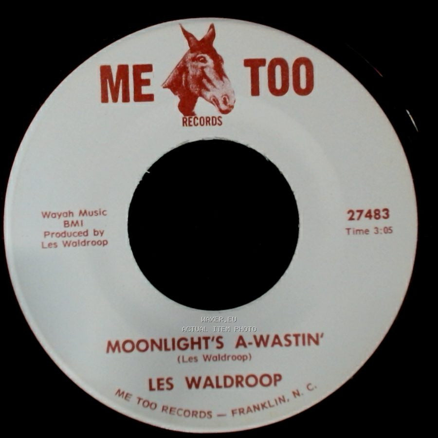 Les Waldroop - Watergate Bugs / Moonlight's A-Wastin' side B