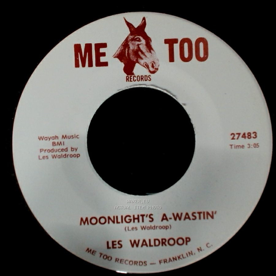 Les Waldroop - Watergate Bugs / Moonlight's A-Wastin' side B