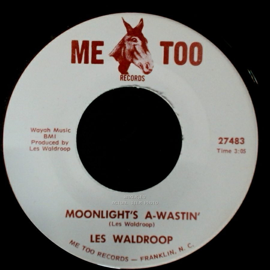 Les Waldroop - Watergate Bugs / Moonlight's A-Wastin' side A