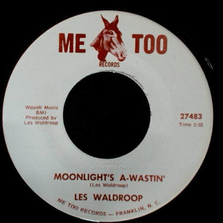 Les Waldroop - Watergate Bugs / Moonlight's A-Wastin' side A