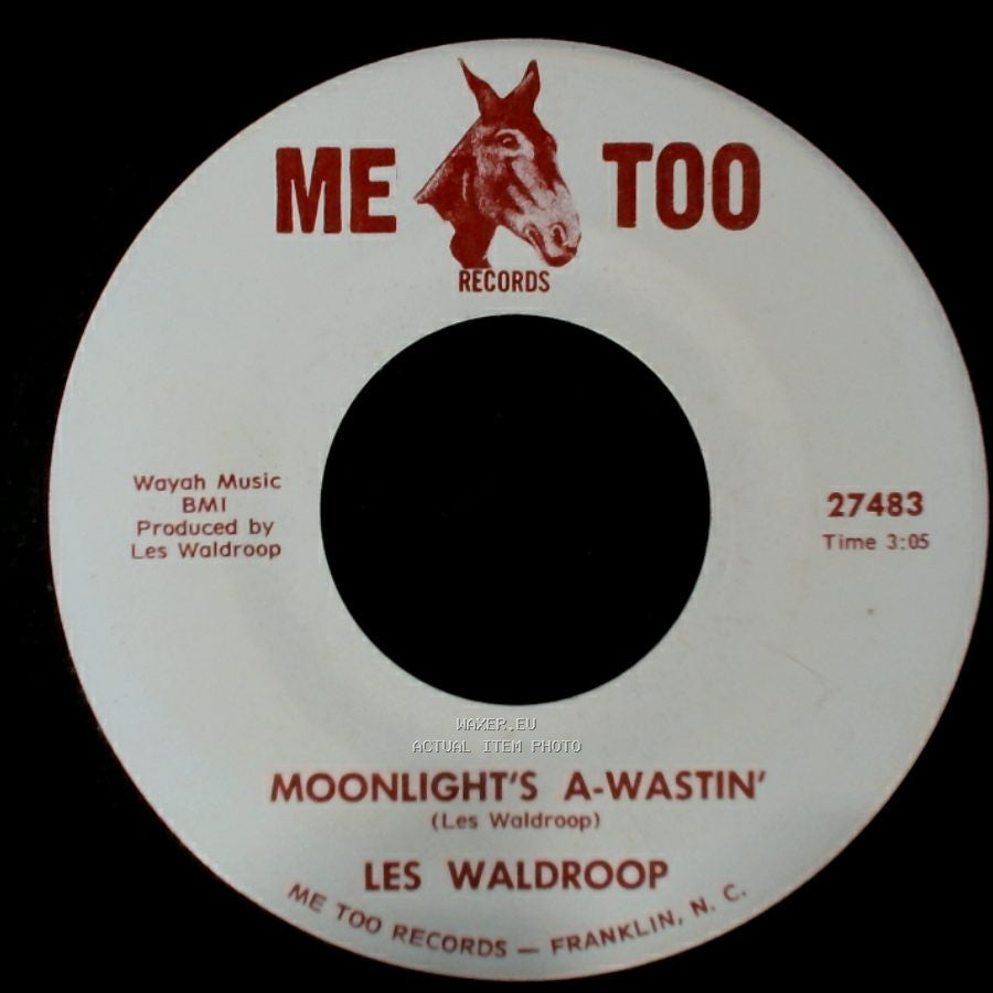 Les Waldroop - Watergate Bugs / Moonlight's A-Wastin' side B
