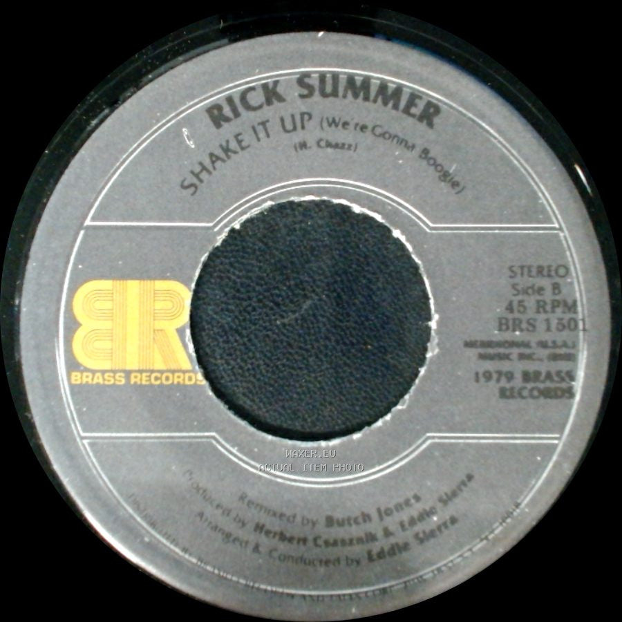 Rick Summer - Born To Be Alive / Shake It Up (We're Gonna Boogie) side B