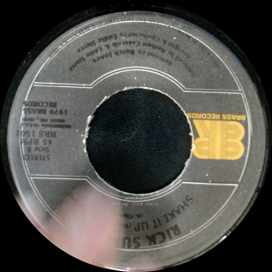 Rick Summer / Rick Sue - Born To Be Alive / Shake It Up side B
