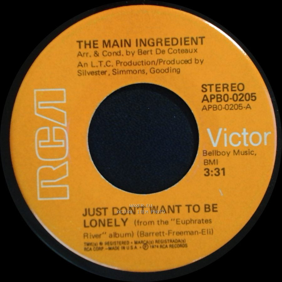 The Main Ingredient - Goodbye My Love / Just Don't Want To Be Lonely side B
