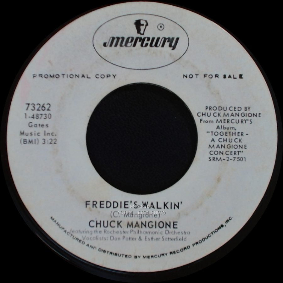 Chuck Mangione - Look To The Children / Freddie's Walkin' side B