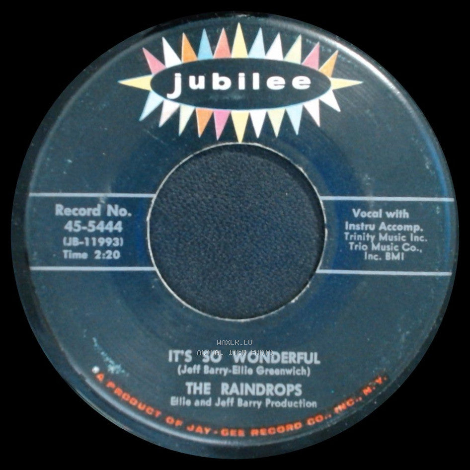 The Raindrops - It's So Wonderful / What A Guy side A