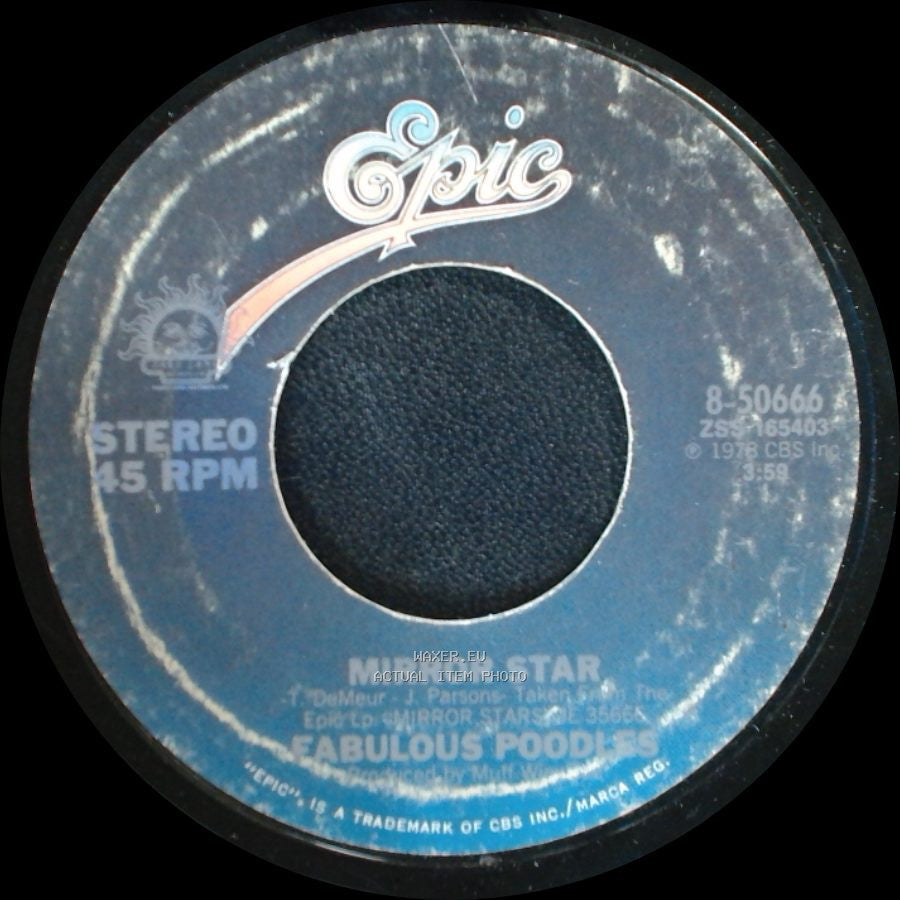 Fabulous Poodles - Mirror Star / The Photographer Blues side A