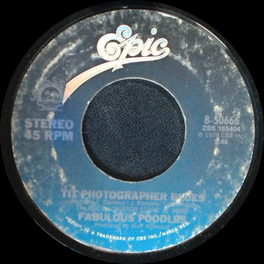 Fabulous Poodles - Mirror Star / The Photographer Blues side B