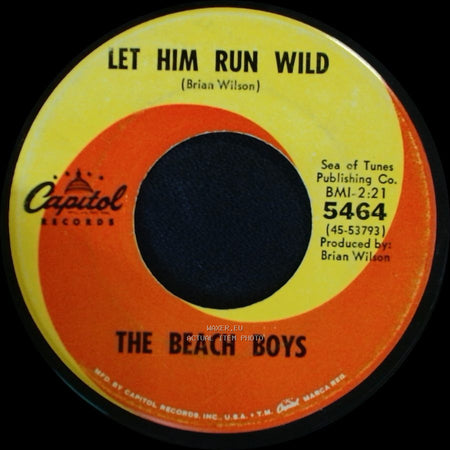 The Beach Boys - Let Him Run Wild / California Girls side A