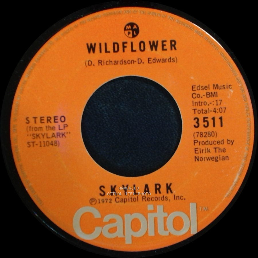 Wildflower / Skylark - Skylark / The Writing's On The Wall side A