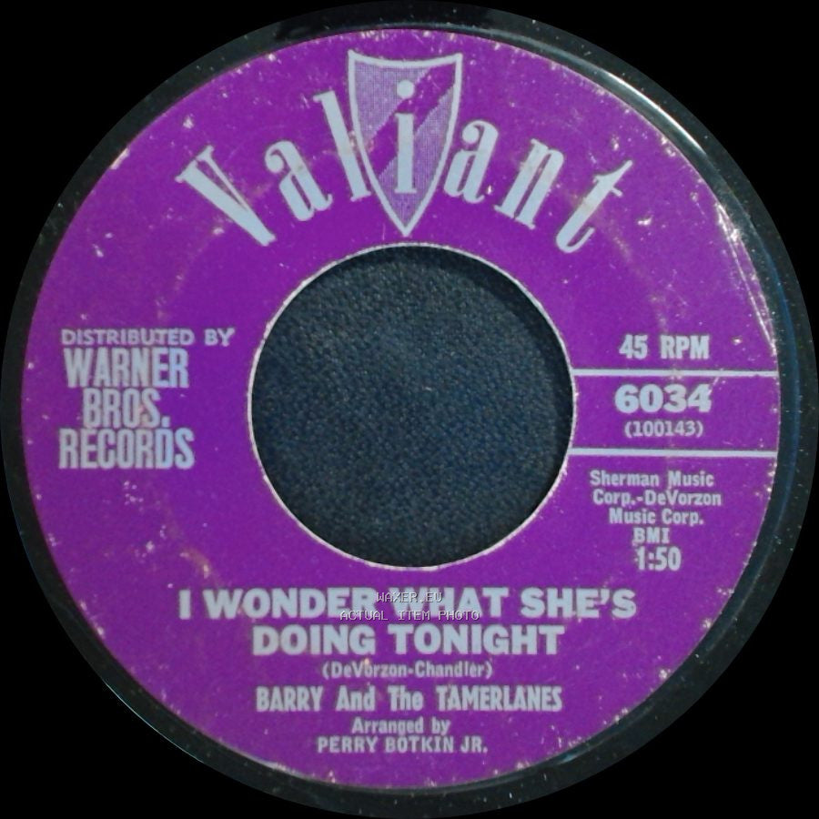 Barry And The Tamerlanes - I Wonder What She's Doing Tonight / Don't Go side A