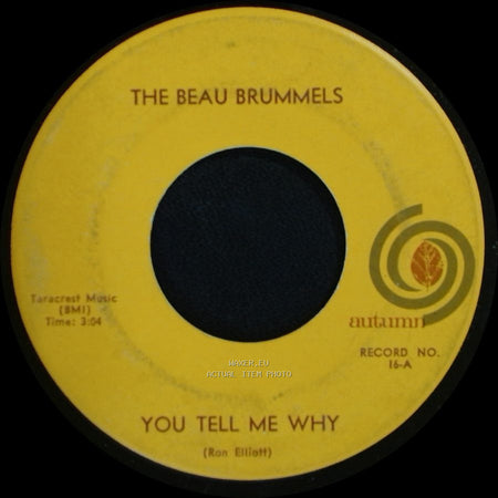 The Beau Brummels - You Tell Me Why / I Want You side A