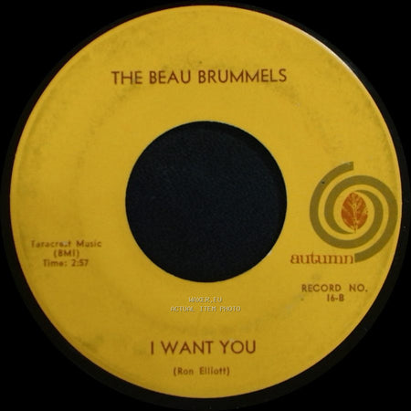 The Beau Brummels - You Tell Me Why / I Want You side B