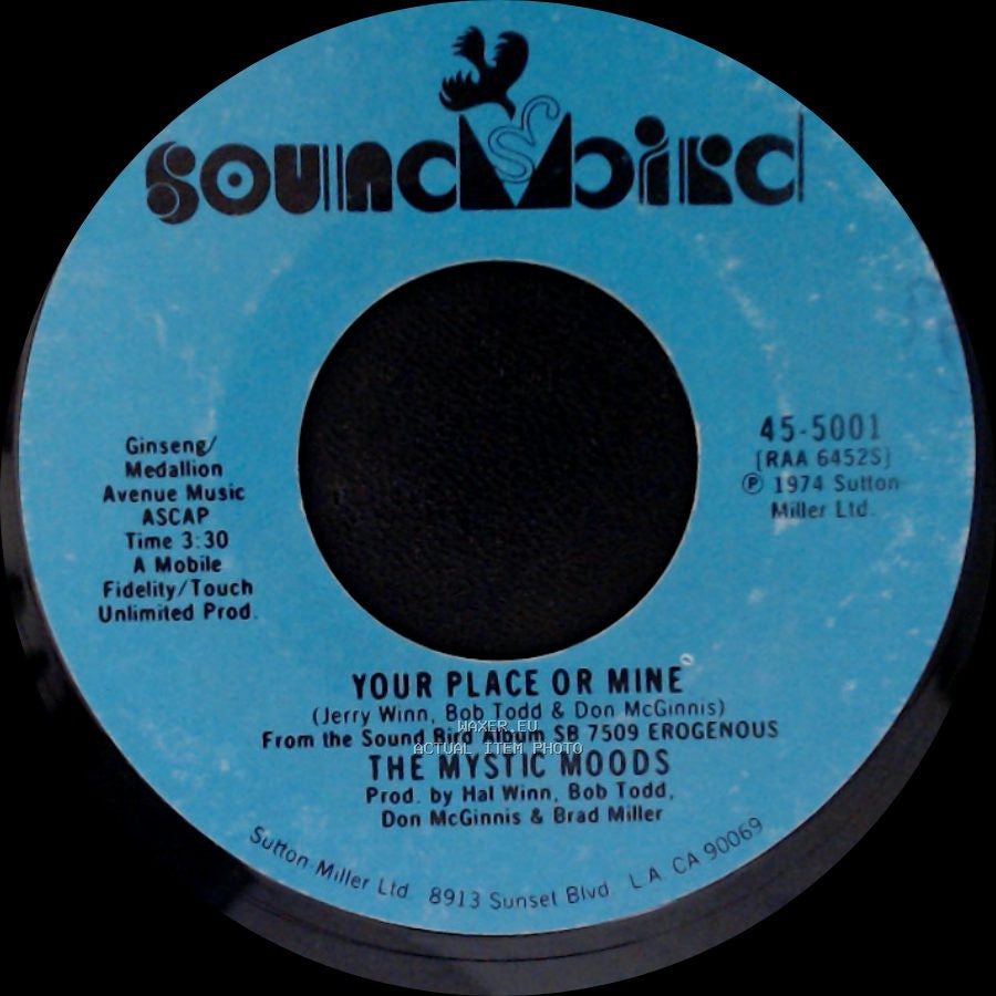 The Mystic Moods - Any Way You Want It / Your Place Or Mine side B
