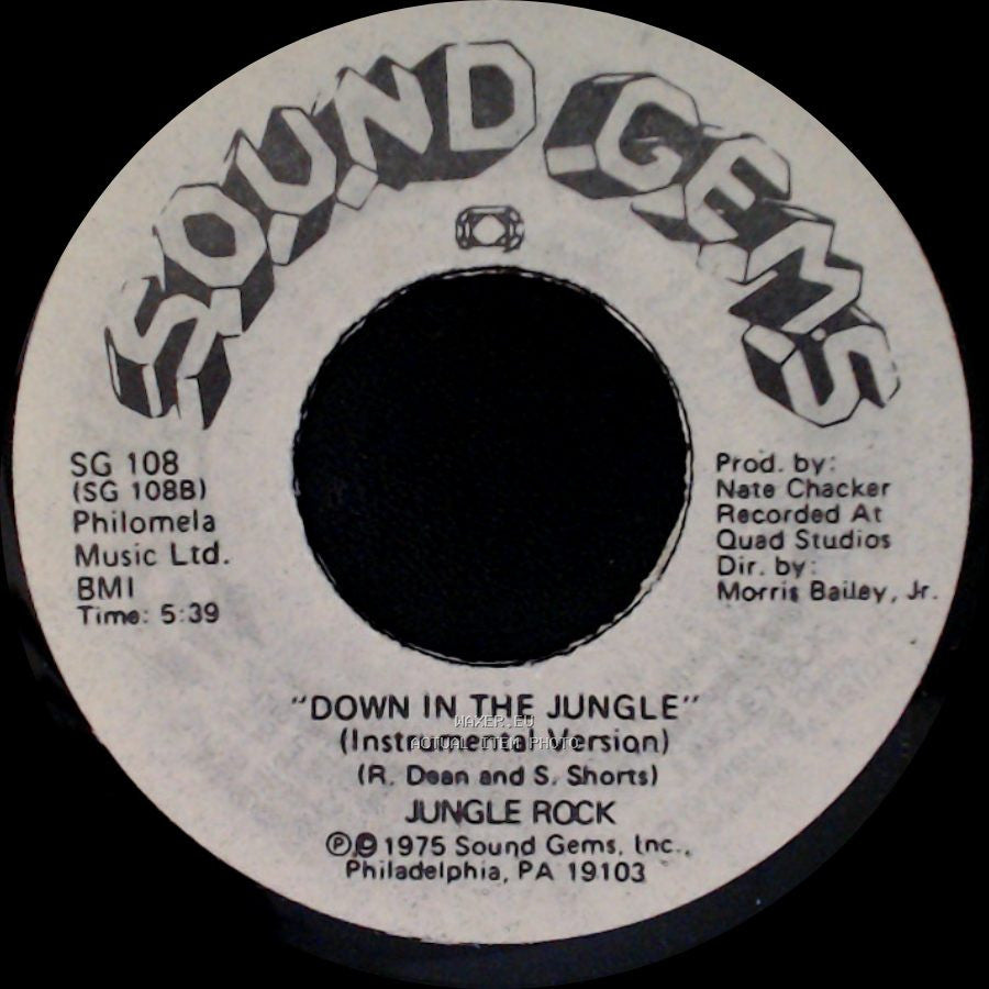 Jungle Rock - Down In The Jungle (Instrumental Version) / Down In The Jungle side A