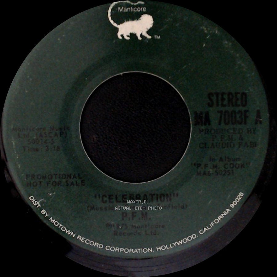 P.F.M. - Celebration / Celebration side A