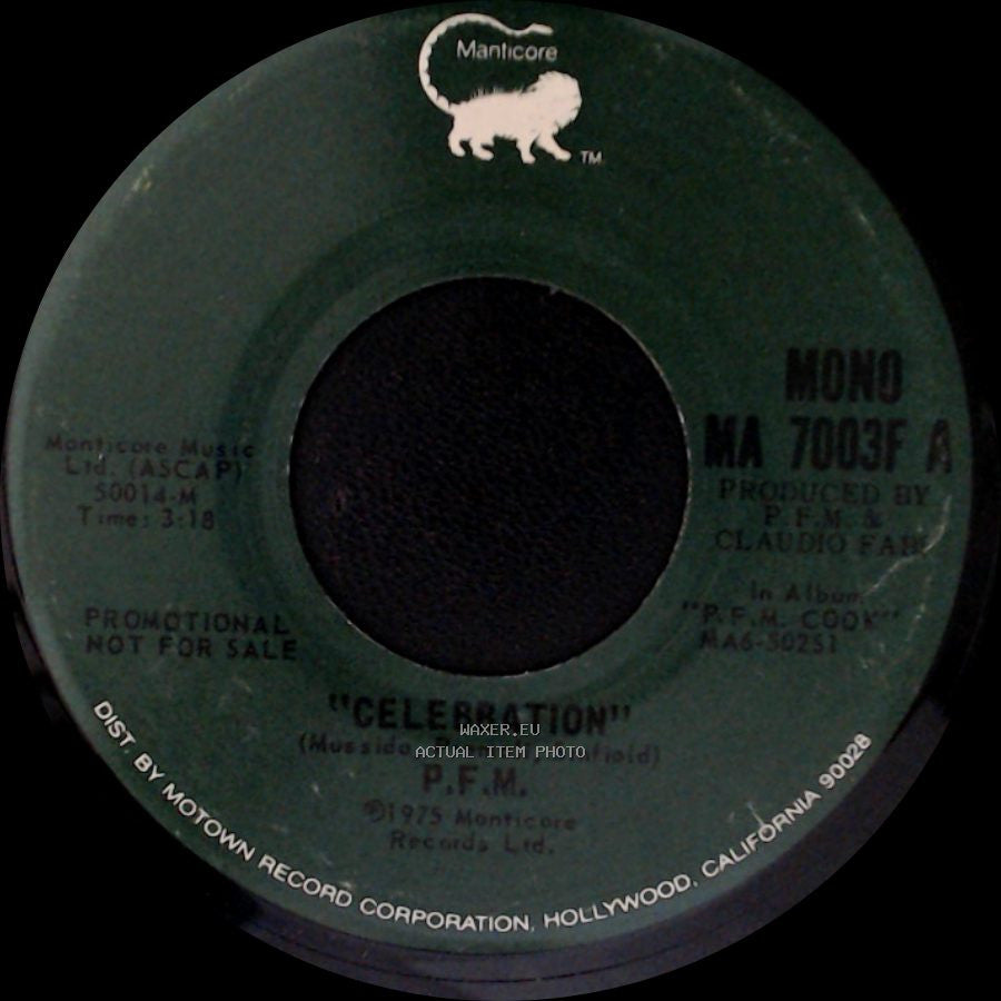 P.F.M. - Celebration / Celebration side B