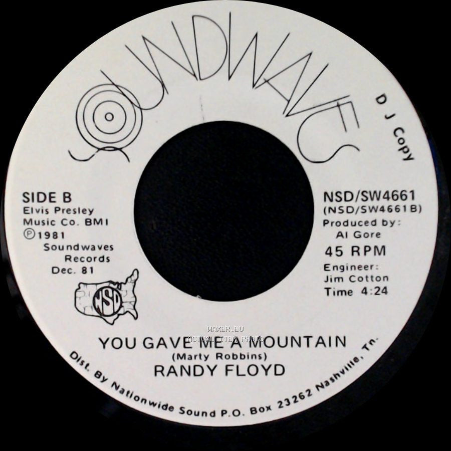 Randy Floyd - I Don't Think I Can Stand The Hurt Again / You Gave Me A Mountain side B