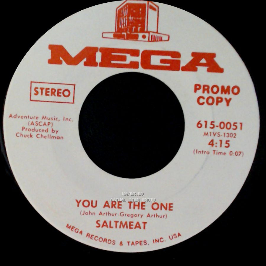 Saltmeat - You Are The One (Short Version) / You Are The One side B