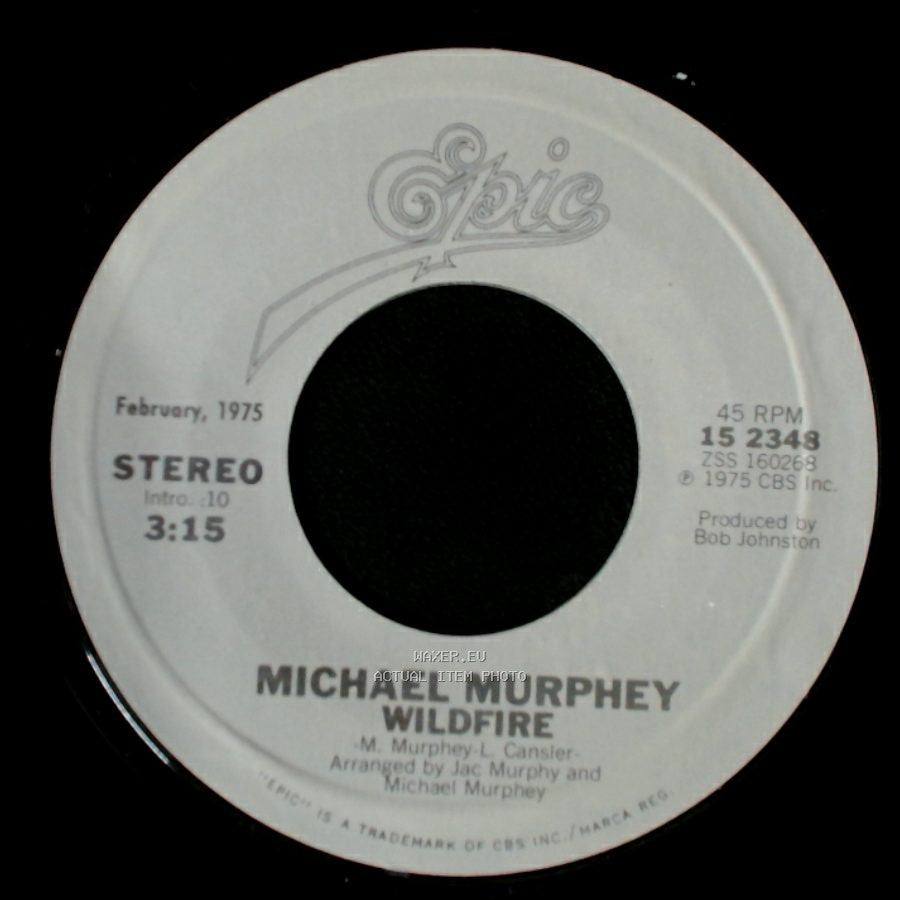 Michael Murphey - A Mansion On The Hill / Wildfire side B