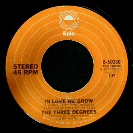 The Three Degrees - In Love We Grow / Standing Up For Love side A