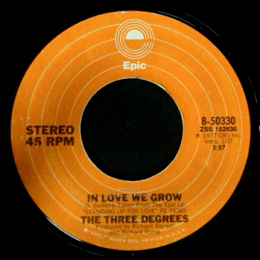 The Three Degrees - In Love We Grow / Standing Up For Love side A