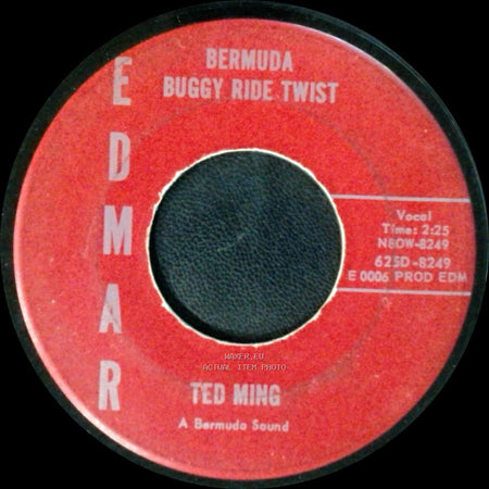 Ted Ming - It Doesn't Hurt To Be Friendly / Buggy Ride Twist side B