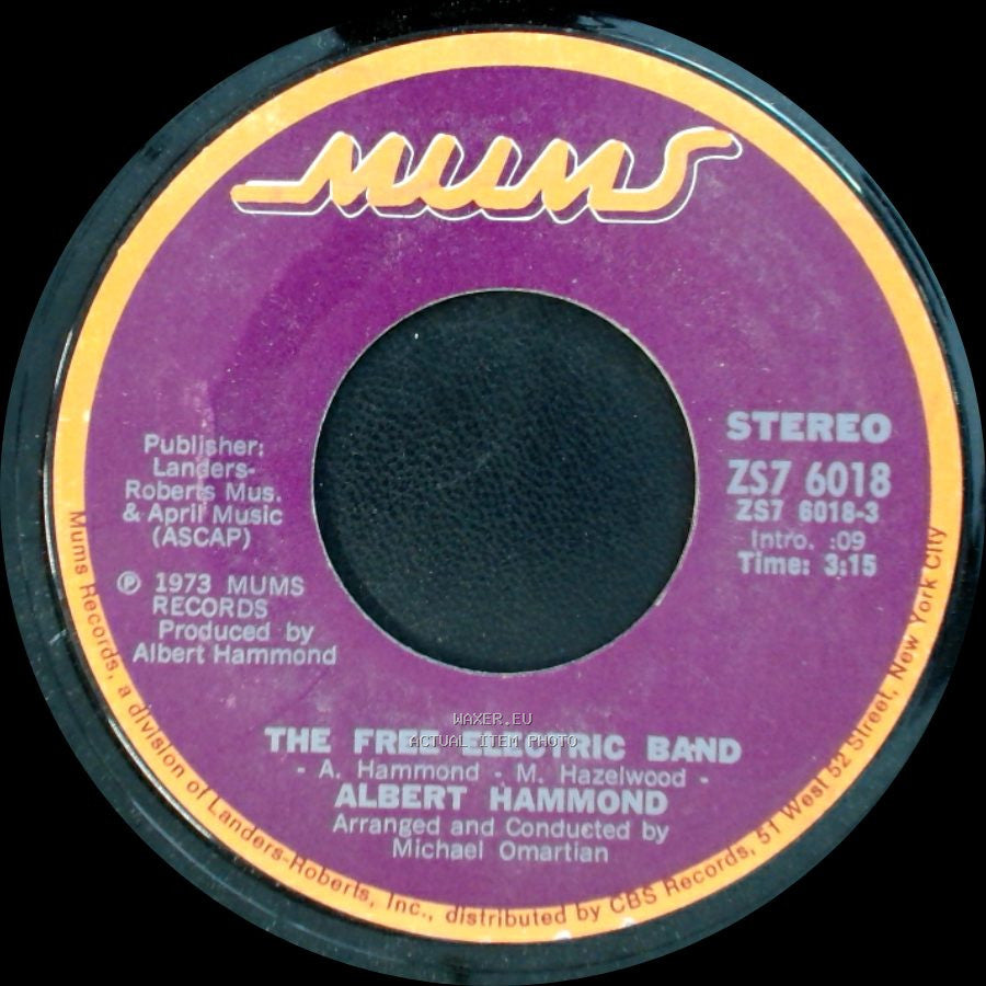 The Free Electric Band / Albert Hammond - Albert Hammond / You Taught Me To Sing The Blues side A