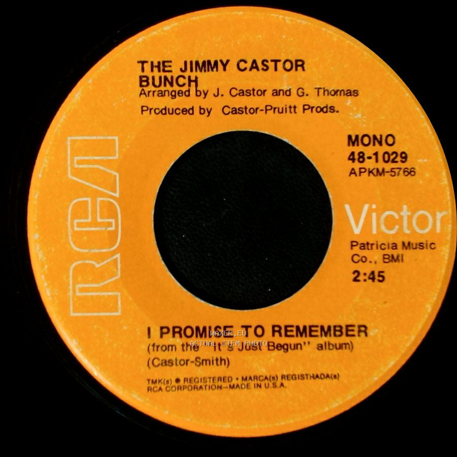 The Jimmy Castor Bunch - I Promise To Remember / Troglodyte (Cave Man) side A
