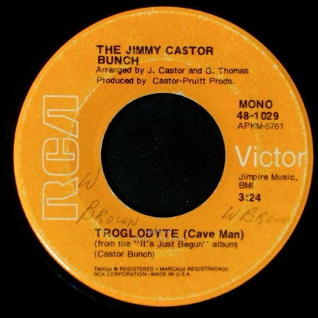 The Jimmy Castor Bunch - I Promise To Remember / Troglodyte (Cave Man) side B
