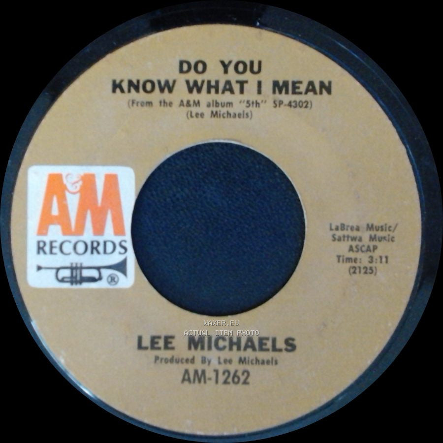 Lee Michaels - Keep The Circle Turning / Do You Know What I Mean side B
