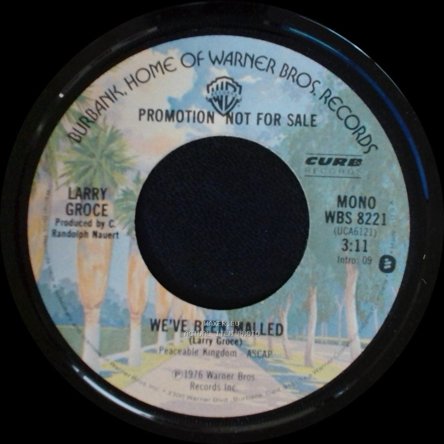Larry Groce - We've Been Malled / Old Fashioned Girl side A