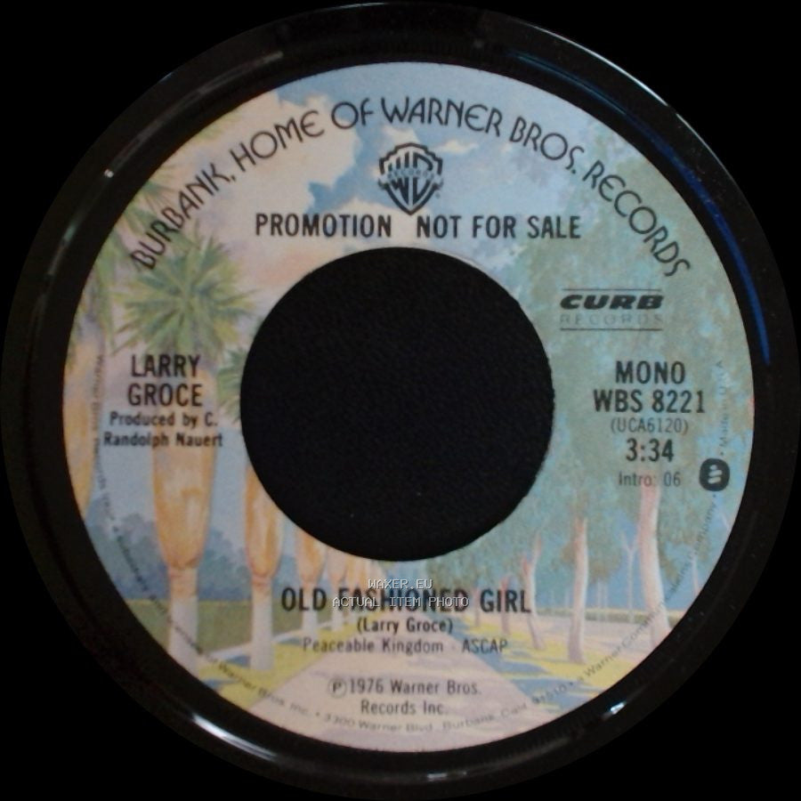 Larry Groce - We've Been Malled / Old Fashioned Girl side B