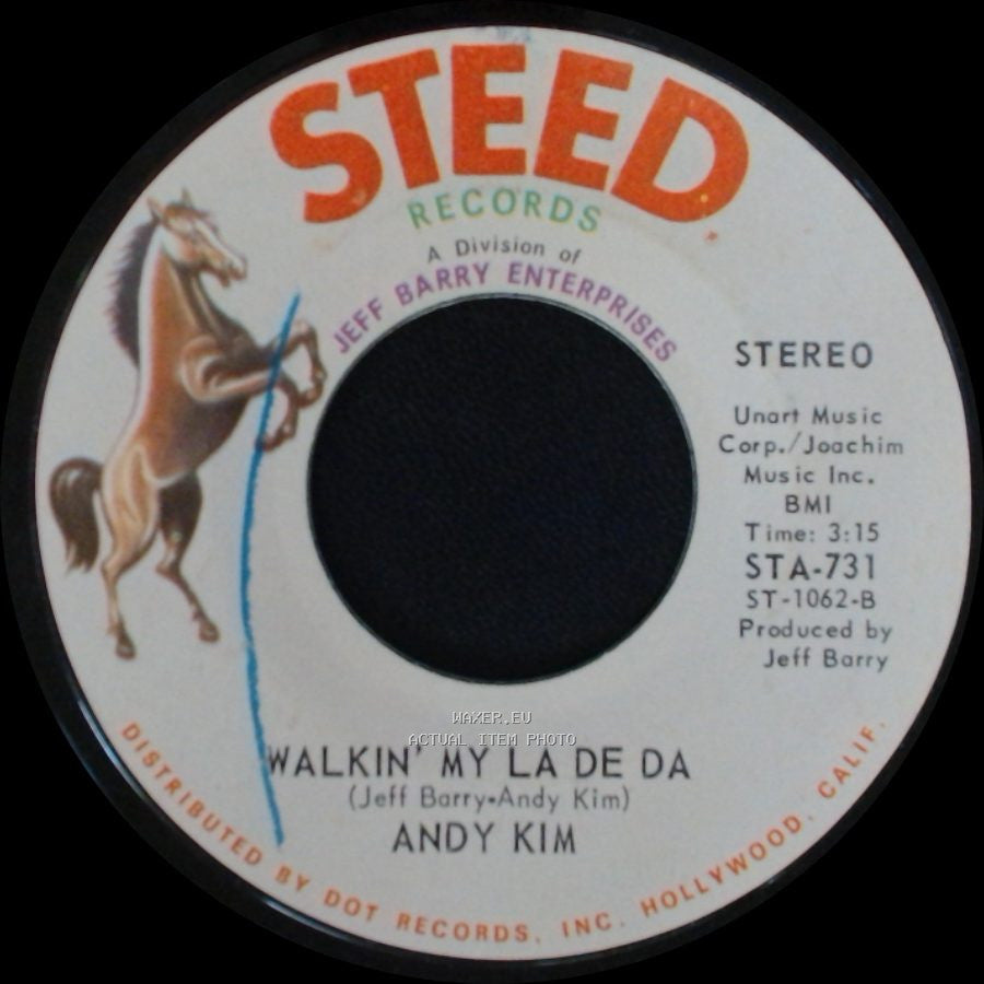 Andy Kim - I Wish I Were / Walkin' My La De Da side B