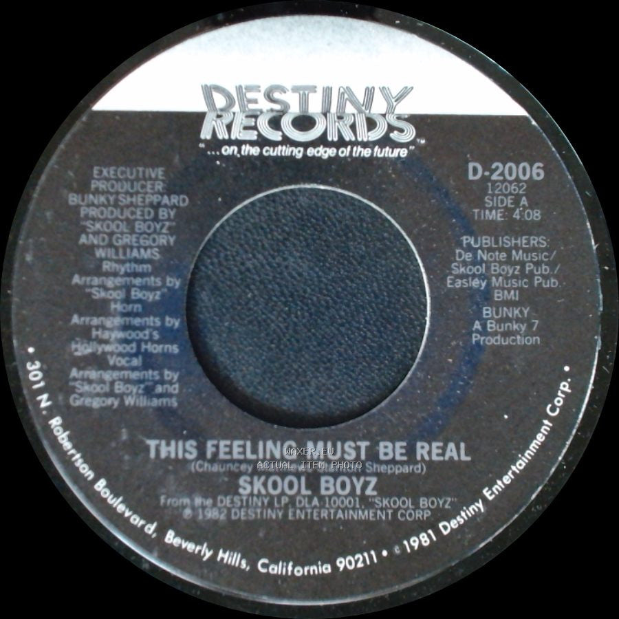Skool Boyz - This Feeling Must Be Real / Can We Do It Again side A