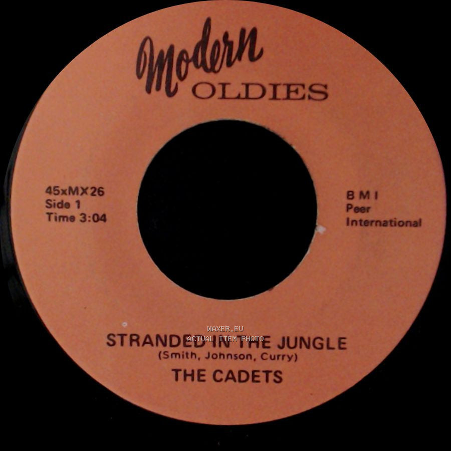 The Cadets - Stranded In The Jungle / Love Bandit side A