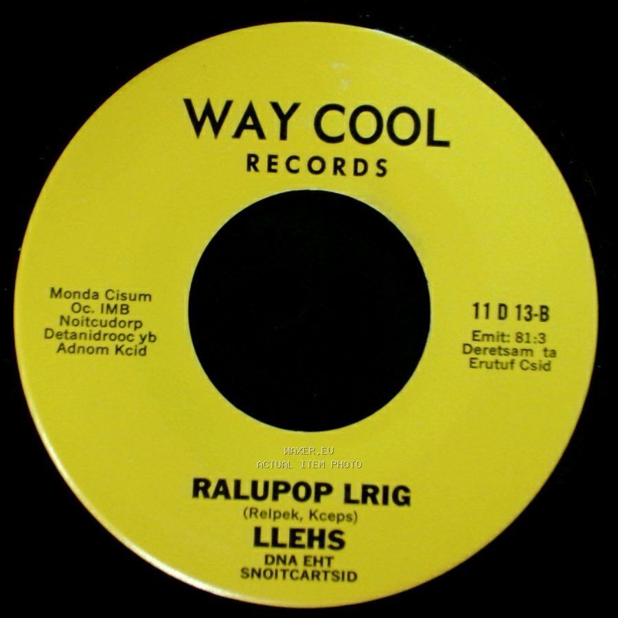 Shell And The Distractions / Llehs - Popular Girl / Ralupop Lrig side B