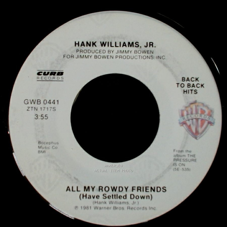 Hank Williams, Jr. - A Country Boy Can Survive / All My Rowdy Friends (Have Settled Down) side B