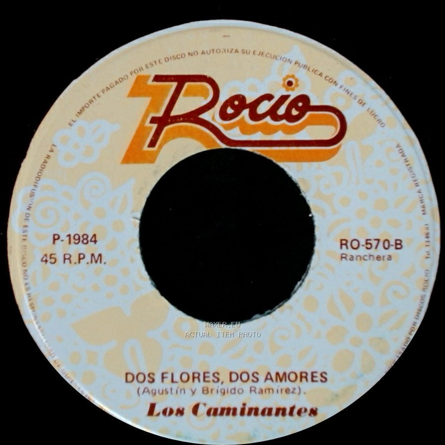 Los Caminantes - Por Que Tengo Tu Amor / Dos Flores, Dos Amores side B