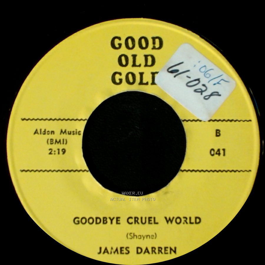 James Darren - Gidget / Goodbye Cruel World side B