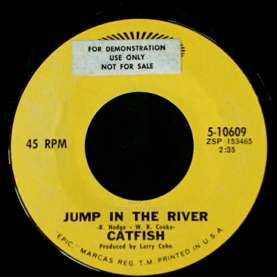 Catfish - Goin' Down Slow / Jump In The River side B