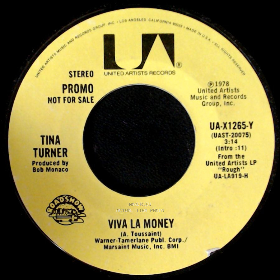 Tina Turner - Viva La Money / Viva La Money side A